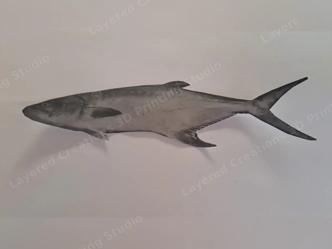 The client's printed size reference cutout of the fish